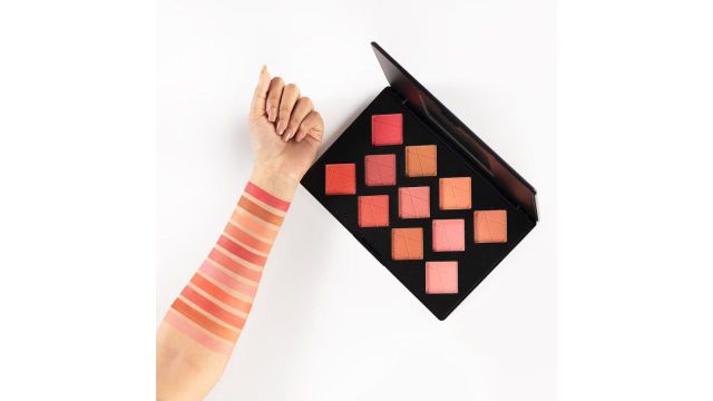 PAC Take Cover Blusher - X11 Shade