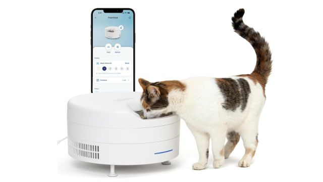 PetSafe FreshFeed Refrigerated Pet Feeder
