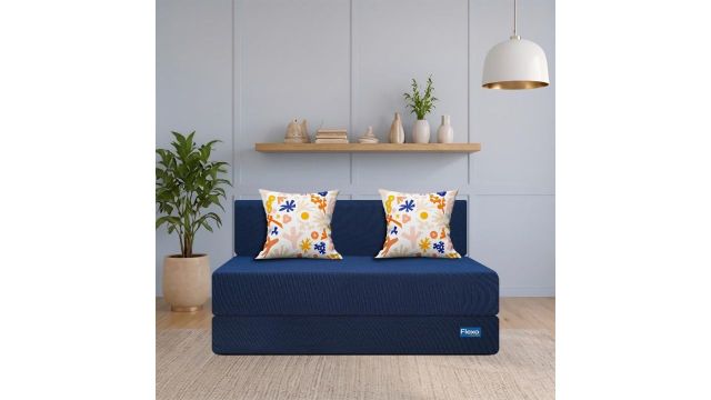 Starlon 2 Seater Foldable Sofa Cum Bed