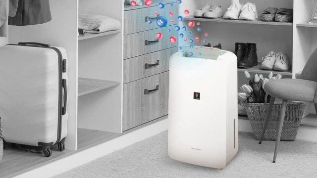 Top Dehumidifiers to explore