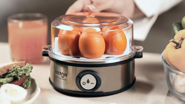 Top Electric Egg Boilers to explore