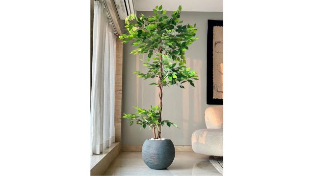 Twisted Artificial Fig Tree