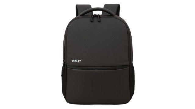 Wesley Vintage Milestone Travel Laptop Backpack