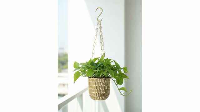 Ekhasa Textured Metal Hanging Planters