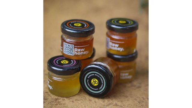 The Indian Beekeepers Raw Honey Taster Box