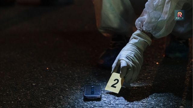From Police Investigations to White-Collar Crime: The New Shape of Crime Drama on Rocket Reels
