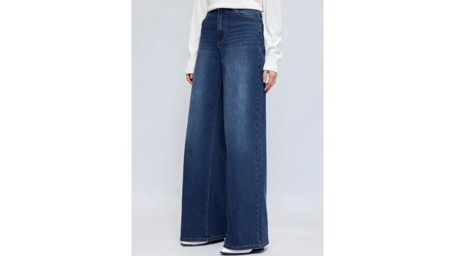Aadvi Fashion Women Jean Relaxed Fit High-Rise Jeans