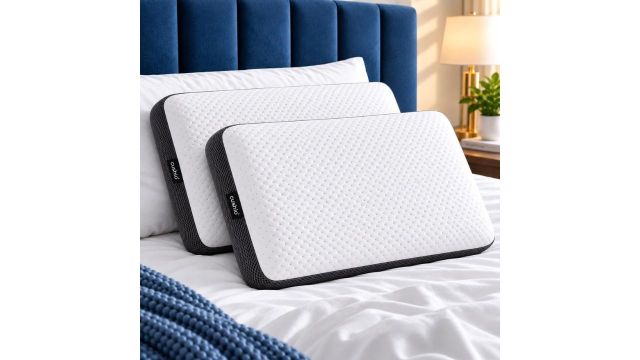 CUSHIO Cooling Gel Memory Foam Pillow Set of 2