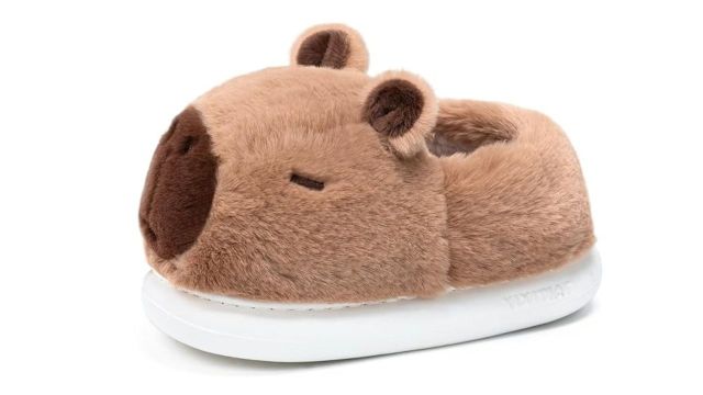 Capybara Fluffy Animal Slippers