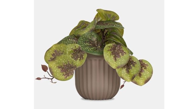 Green Textured Plastic Home Decor Plant