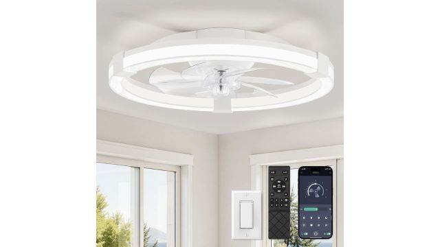 LEDIARY 20-Inch Ceiling Fan with Lights