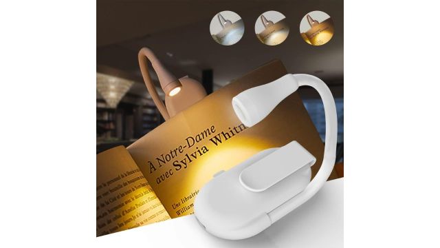 MoonlitDreams Clip-On Study Lamp