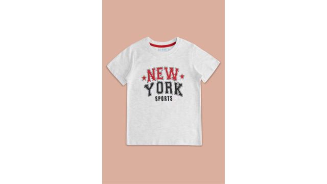 Multi-coloured Printed Casual Half Sleeves Round Neck Boys Regular Fit T-Shirts