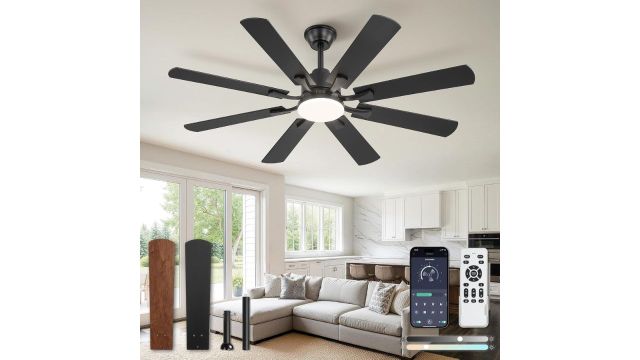 ZMISHIBO 52-Inch Ceiling Fan with Light